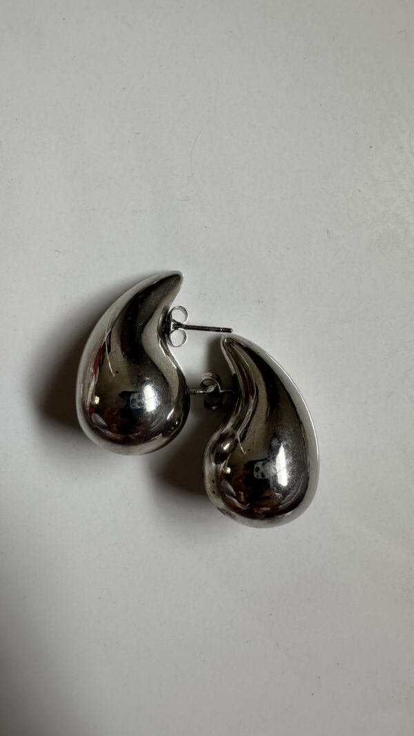 bottega earrings