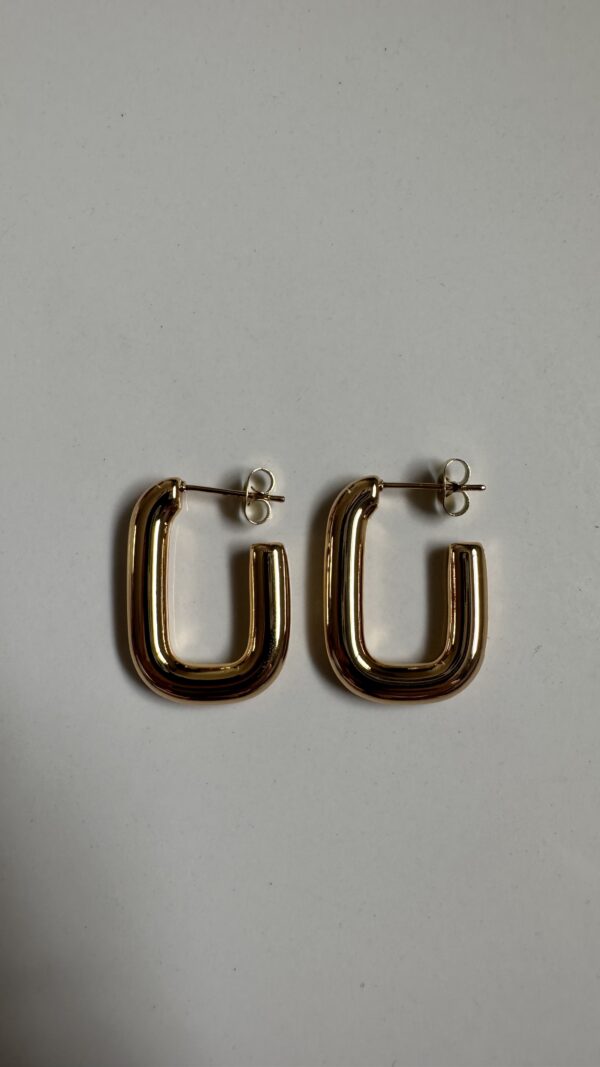 dee hoops